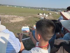 -盐城丹顶鹤湿地生态旅游区