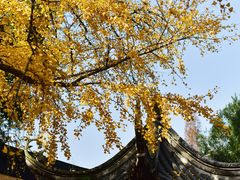 -无锡惠山寺
