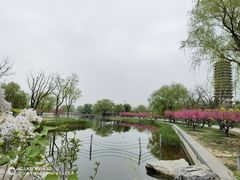 -西海子公园