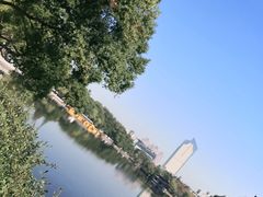 -月湖公园