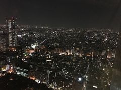 -东京都厅舍