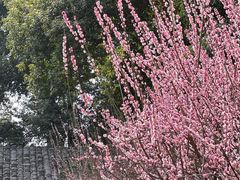 -成都杜甫草堂博物馆