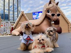 -东莞松山湖万象汇