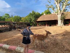 -清迈夜间动物园