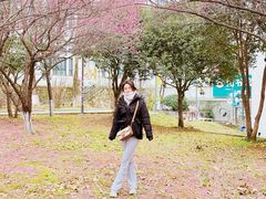 -武汉大学-樱园