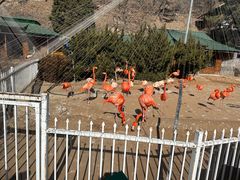 -大连老虎滩海洋公园