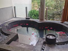 -腾冲和顺柏联酒店