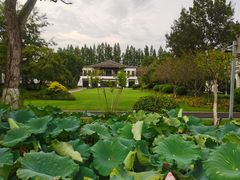 -杭州雅谷泉山庄酒店-餐厅