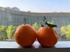 -南京众彩农副产品配送有限公司
