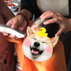 -龙文宝贝上门婴儿理发满月剃胎毛(闵行店)