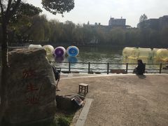 -莲湖公园