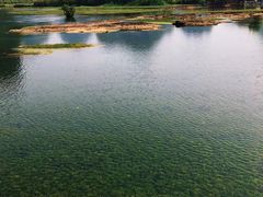 -靖西鹅泉风景区