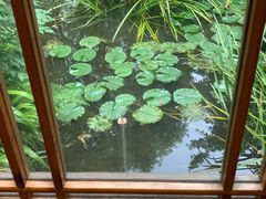 -大妙火锅·非物质文化遗产(东湖公园店)