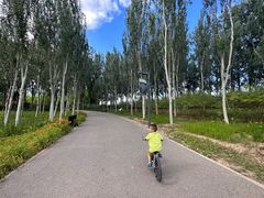 -东郊湿地公园
