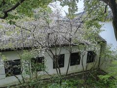 -苏州上方山国家森林公园