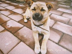 -石井坡(地铁站)