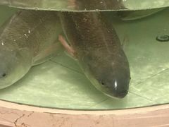 -白金汉爵大酒店(相城店)