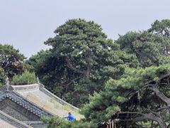 -北陵公园