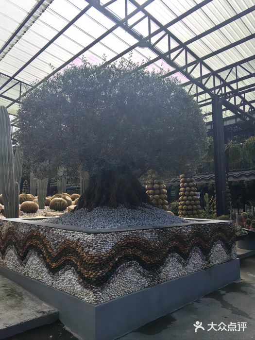 东芭乐园图片