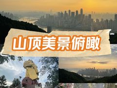 -大金鹰园