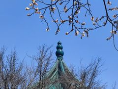 -无锡梅园公园