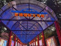 -广州长隆国际大马戏