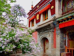 -塔尔寺