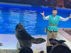 -哈尔滨波塞冬海底世界
