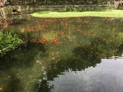 -普陀山风景名胜区-法雨禅寺