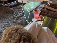 -J Create城市露营咖啡·简餐·宠物(上海动物园店)