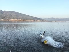 -海埂大坝