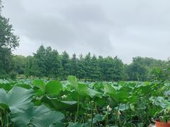 -Beans Solo豆号咖啡(百家湖花园店)