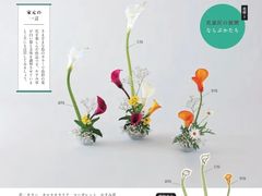 -今日陶艺(富力广场店)