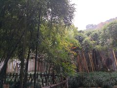 -杭州黄龙洞