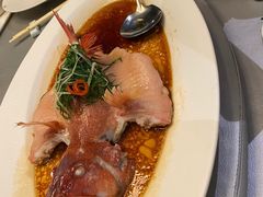 东星斑清蒸东星斑-维园悦谱·海派家常菜(乌鲁木齐南路店)