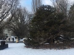 -北海道厅旧本厅舍(旧本庁舎)