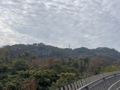 -福道