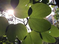 -小南山公园