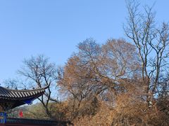 -冶父山国家森林公园