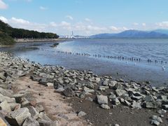 -深圳湾公园(南山区)