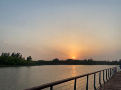 -东郊湿地公园