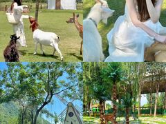 -上海山野camping·户外天幕烧烤·团建拓展营地