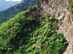 -圣莲山风景区