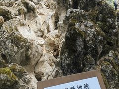 -秦岭天竺山生态文化旅游景区