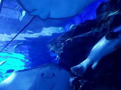 -多彩贵州城极地海洋世界