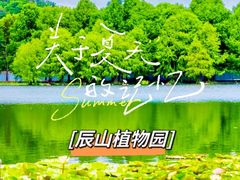 -上海辰山植物园