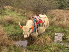 -硗碛藏寨·神木垒景区