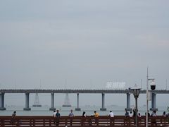 -宝安西湾红树林湿地公园