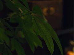 -中国工商银行(海盐开发区支行)