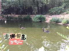 -济南野生动物世界